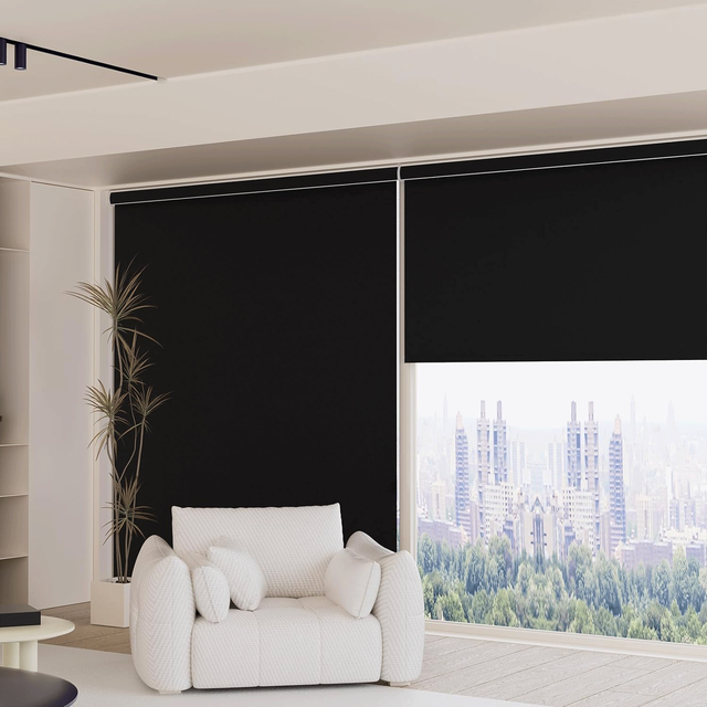 Roller Shades Sunproof Heat Insulation UV Smart Dual-Drive Motor Ultra-long Durable Motor Modern Style Roller Blinds