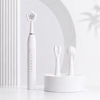3 accessoires, vibrateur clitoridien G-Spot, 6 modes de vibration, stimulateur clitoridien et des mamelons, vibrateurs étanches, jouets sexuels pour adultes pour femmes