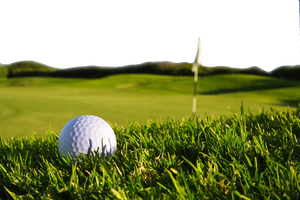 สารสกัดจาก de planta de TE saponina polvo 60% <span class=keywords><strong>Matar</strong></span> A lombriz de Tierra Para cesped fertilizante CAS 67-71-0 - Product Image 2