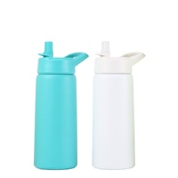 Bouteille d'eau de luxe isotherme sous vide en acier inoxydable 304 de 500 ml, personnalisable en couleur, écologique, par Steel Brand – Vente en gros depuis la Chine