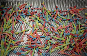 Formule automatique de bonbons gommeux à la pectine gélatine ligne de fabrication de nouveaux composants principaux PLC avec délai de livraison court Machine à bonbons - Product Image 6