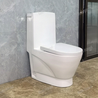 Ensemble WC monobloc en céramique pour salle de bain, design Dragon Doré, avec chasse d'eau, siphon en P et siphon en S