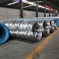 Sıcak Satış Elektro Galvanizli Demir Tel 30MM Çaplı İnşaat Dayanıklı Bağlama Teli ASI Serbest Kesim Çelik Bükme Kesme