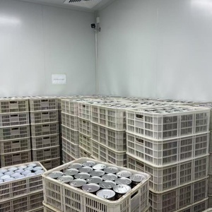 <span class=keywords><strong>Ail</strong></span> <span class=keywords><strong>noir</strong></span> fermenté biologique à une seule cloche, fabriqué en usine professionnelle - Product Image 4