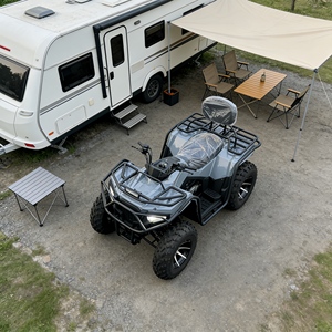 Buggy Todoterreno 4x4 de Alta Calidad en Oferta, Buggy Todoterreno de 250cc con Tracción en las 4 Ruedas para Escalar Dunas de Arena - Product Image 5