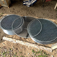 Grilles de barbecue jetables écologiques en acier inoxydable pour pique-niques en plein air et barbecues dans la cour