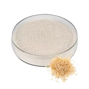 Extracto de arroz integral natural de alta calidad 80% polvo de proteína de arroz integral