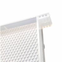 Apis Mellifera Feuille de fondation de ruche en cire d'abeille en plastique avec cadre pour fabriquer un peigne Équipement pour ruche de fondation de miel