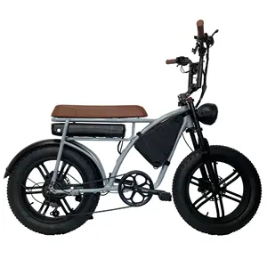 Full Suspension 7 Speed Electric Bicycle 20 Inch 48V 2 Seat Electric Hybrid Bike
