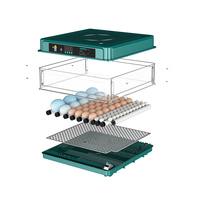 Machine Incubateur d'Œufs Entièrement Automatique 220V/110V/12V pour 48 Œufs de Poule, Caille, Canard, Oie et Pigeon