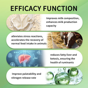 50% rumen bảo vệ nicotinamide premix thức ăn phụ gia <span class=keywords><strong>vitamin</strong></span> trộn sẵn cho bò và động vật vỗ béo gia súc bổ sung - Product Image 2