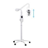 Lampe portable pour blanchiment dentaire, spa dentaire, machine de blanchiment des dents au laser LED pour salon professionnel, utilisation haute puissance