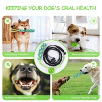 Jouet pour chien en corde élastique avec balle à mâcher en TPR et jouets interactifs interchangeables pour tirer la corde