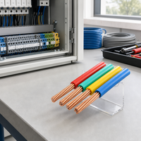 Kabel Tembaga Inti Tunggal Berisolasi PVC IP20 BV RV BLV BVR untuk Kabinet Kontrol, Papan Distribusi, dan Pengkabelan Peralatan