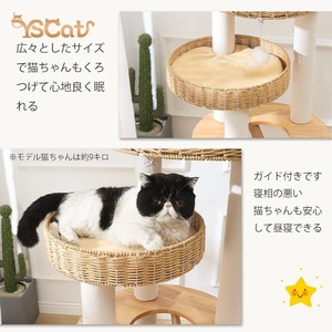 Premium Großer Katzenkratzbaum Turm Luxus-Stil Sisal Jute Material Naturholz Mini XXL Innen Katzenbaum Kartonverpackt - Product Image 3