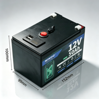Baterai Surya Lifepo4 12V 50Ah 48v Dengan Sistem Manajemen Baterai Lifepo4, Baterai Lithium dengan Siklus Hidup Panjang untuk Penyimpanan Energi Rumah