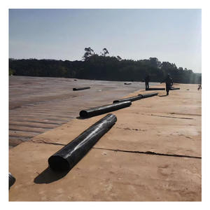 Géogrilles uniaxiales HDPE à bas <span class=keywords><strong>prix</strong></span> d'usine pour la construction <span class=keywords><strong>de</strong></span> murs <span class=keywords><strong>de</strong></span> <span class=keywords><strong>soutènement</strong></span> civils et <span class=keywords><strong>de</strong></span> routes 120kN <span class=keywords><strong>Drainage</strong></span> Park Garden Use - Product Image 6