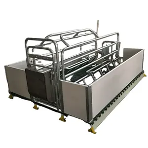 pig farm equipment durable hot dip galvanized steel farrowing crate for pig maternity cage pig dividing stall penning