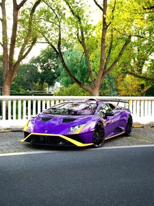 Voiture de course homologuée Huracan <span class=keywords><strong>STO</strong></span> d'occasion, kit aérodynamique entièrement en carbone, peinture personnalisée violet-jaune, faible kilométrage, côté gauche. - Product Image 3