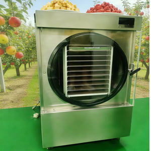 Mini Liofilizador Doméstico WIFI de Acero Inoxidable con Bomba BAOSI Automática PLC para Procesamiento de Alimentos y Conservación de Vegetales - Product Image 2