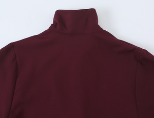 Robe mini femme bordeaux à demi-zip, manches longues, col montant, empiècements contrastants <span class=keywords><strong>en</strong></span> matériaux variés, taille basse, jupe évasée, collection automne ODM - Product Image 6