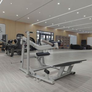 <span class=keywords><strong>Appareil</strong></span> de musculation pour les hanches, pont <span class=keywords><strong>fessier</strong></span> commercial, équipement de <span class=keywords><strong>fitness</strong></span> pour les hanches, machine à poussée des hanches - Product Image 5