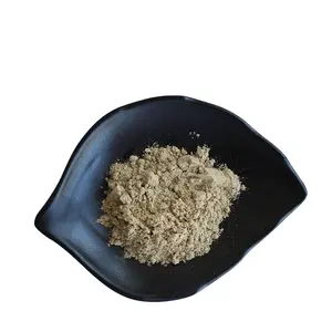 Gurmar Gymnema Sylvestre Leaf Extract Powder 75% Gymnemic Acid Gymnema Sylvestre Extract