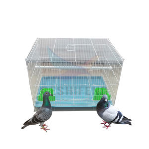 Jaula de palomas para el hogar con partición jaula de cría emparejada nido de palomas entrenamiento conejo/jaula de pollo al por mayor... - Product Image 6