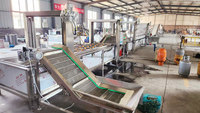 Friteuse industrielle sans huile 500kg d'une heure pour frites Pringles Friteuse pour frites de pommes de terre