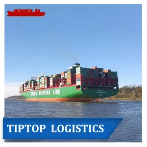 DDP China Sea Freight Forwarder Door To Door Service To USA / UAE / Spain / Germany / Italy / France Worldwide