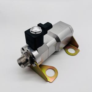 Regulador reductor de presión de <span class=keywords><strong>gas</strong></span> <span class=keywords><strong>natural</strong></span> para vehículo LNG eléctrico DC24V, 2 unidades - Product Image 4