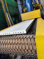 Machine de sablage à bande de treillis métallique certifiée CE Zhiling pour coffrage en aluminium