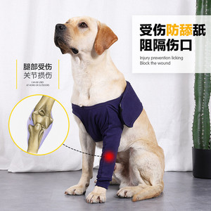 ชุดฟื้นสภาพบาด<span class=keywords><strong>แผล</strong></span>สำหรับสัตว์เลี้ยง,ชุดกู้คืนสุนัขแขนยาวทนต่อการขีดข่วนป้องกันการเลียแขนสุนัข - Product Image 6