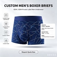Sous-vêtements pour hommes, taille plus, coton respirant, mode, blanc, élastique, boxers de fitness pour hommes, design personnalisé, XXXXL