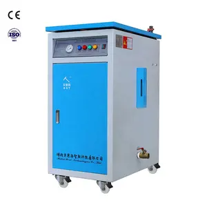 Beiste Hot Sale 36kw 48kw 60KW Electric Steam Boiler With Steam Iron For Industrial Steam Iron With Boiler