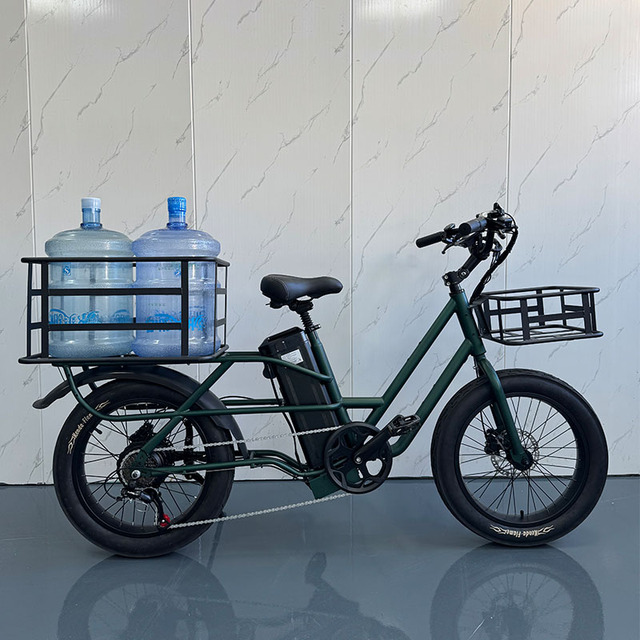 Ready to Ship 48v 500w Family Cargo Bike Carbon Steel Frame with Front &rear Basket High Loading Weight Electric City Bike
