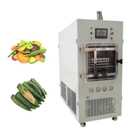 Automatische vacuümvriesdroger voor fruit- en groentechips / Vacuümvriesdroger voor voedsel / Vacuümvriesdroogmachine