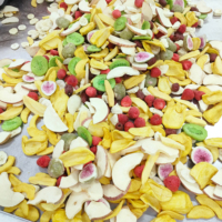 Fruits Mélangés Lyophilisés en Vrac: Fraise, Banane, Kiwi, Figue, Jujube, Pomme