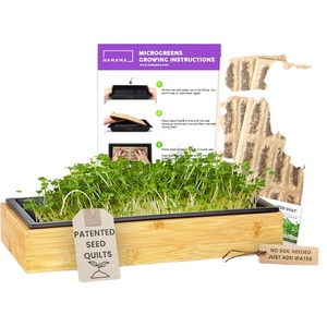 Natural Bamboo Wood Rectangle Planter Box with Removable Lid Kids Mini Garden Kit