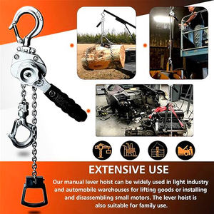 Alat Pengangkat Rantai <span class=keywords><strong>Manual</strong></span> Hangzhou DELE 250kg Ukuran Mini, Hoist Tuas Aluminium - Product Image 6
