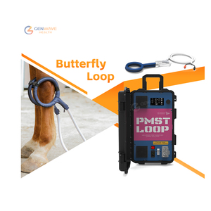 Máquina de terapia de caballos Máquina de animales Máquina de terapia magnética Pemf Loop Pemf Gauss Soporte para condiciones crónicas - Product Image 1