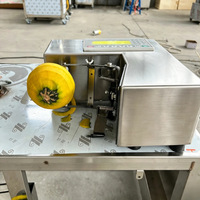 Fabrieksgroothandel Automatische Fruit Schilmachine Digitale Besturing RVS Elektrische Sinaasappel Appel Citroen Schiller