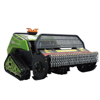 Tondeuse à fléaux diesel professionnelle 24V, largeur de coupe 800 mm, tondeuse sur chenilles pour verger, conforme EPA