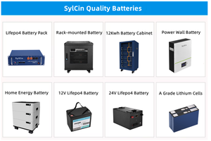 Batterie au lithium-ion 10 kWh 12 kW 15 kWh du fabricant, batteries 48 V 50 Ah 100 Ah 200 Ah 250 Ah, boîtier de batterie LiFePO4 pour kit solaire - Product Image 2