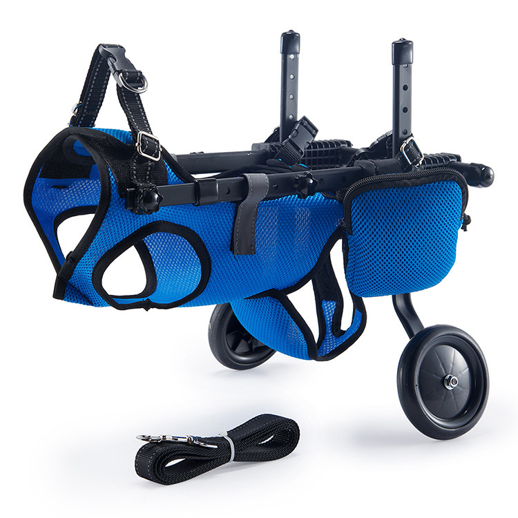 Cjc17 bleu
