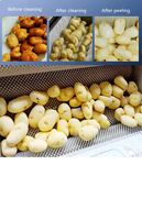 Volledig automatische schilmachine voor fruit, groenten en gekookte aardappelen