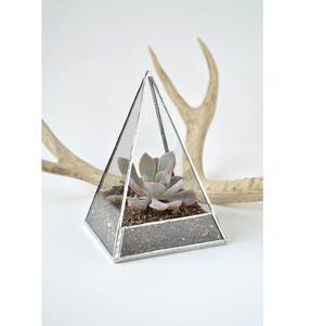 Terrario Decorativo de Vidrio, Recipiente Transparente para Exhibición, para Hogar, Oficina, Jardín, Mejora la Estética de las Plantas de Interior - Product Image 1