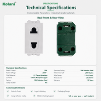 Module de prise modulaire OEM ODM, 2 trous 16A 250V avec obturateur de sécurité, logo personnalisé, couleur et emballage sur mesure, échantillon gratuit pour projets hôteliers et de bureaux