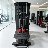 Nouvel équipement de fitness commercial de pointe pour l'entraînement central, machine à step-up à charge par poulie