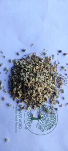 Thé en sachet TBC le plus vendu, infusé avec du Tribulus Terrestris, thé santé de première qualité, granulés, emballage en vrac - Product Image 4